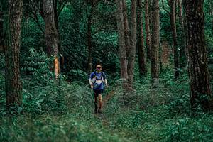 BIB: 
                            <button type="button" onclick="openModal(25237359)" class="btn btn-primary btn-sm float-right btn-popup" data-toggle="modal" data-target=".modal-high-quality">
                        <i class="fas fa-shopping-cart"></i> Add to Cart
                    </button>
                                            <button type="button" onclick="isThisMe(25237359, true)" class="btn btn-success btn-sm float-right btn-popup btn-isme hidden" data-toggle="tooltip" data-placement="bottom" title="นี่คือรูปของคุณใช่ไหม คลิกที่นี่เพื่อเอาเข้าอัลบั้ม">
                        <i class="fas fa-plus"></i> Add to album
                    </button>
                    <button type="button" onclick="isThisMe(25237359, false)" class="btn btn-warning btn-sm float-right btn-popup btn-isnotme hidden">
                        <i class="fas fa-ban"></i> Remove from album
                    </button>